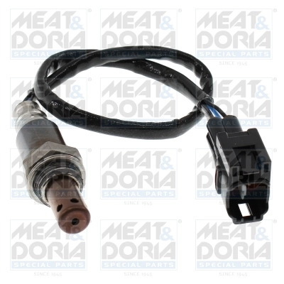 Oxygen Sensor